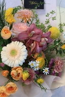 Sunrise Garden Whisper 3