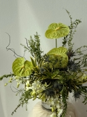 Designer Pick Omakase 3