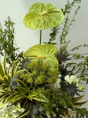 Designer Pick Omakase 5