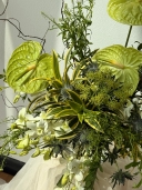 Designer Pick Omakase 4