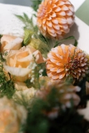 Peach Reverie 3