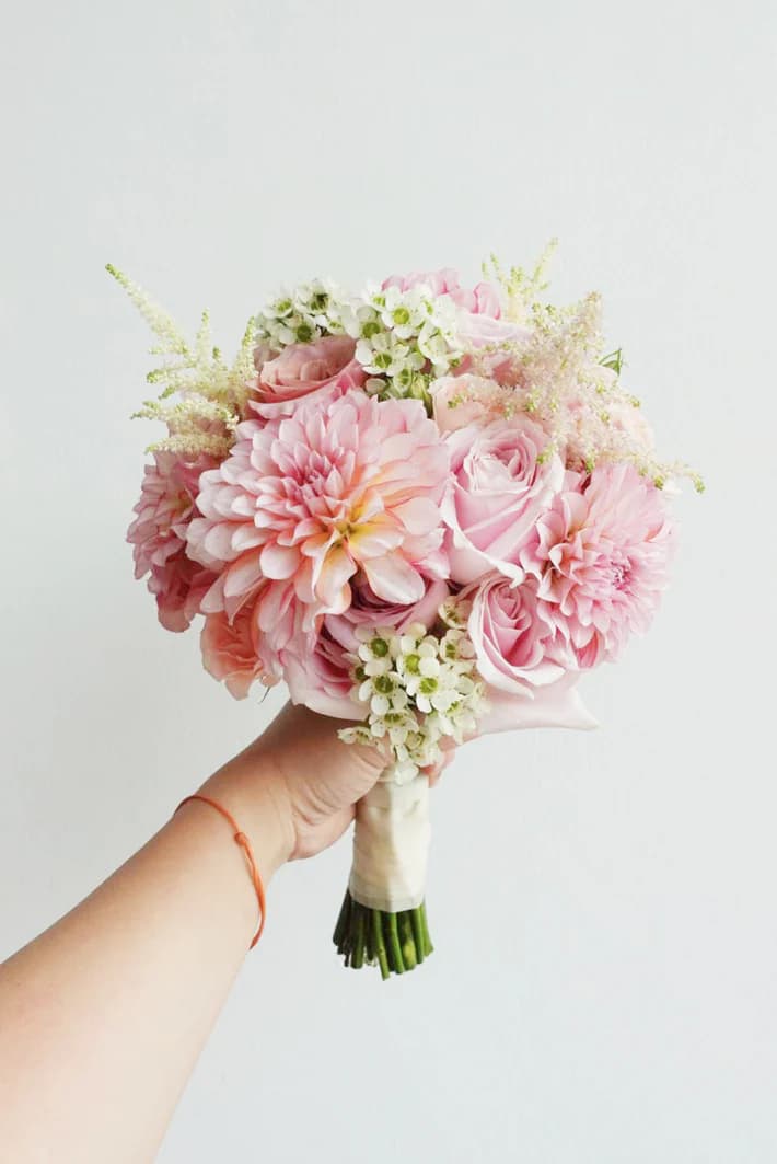 Blush Pink Elegance