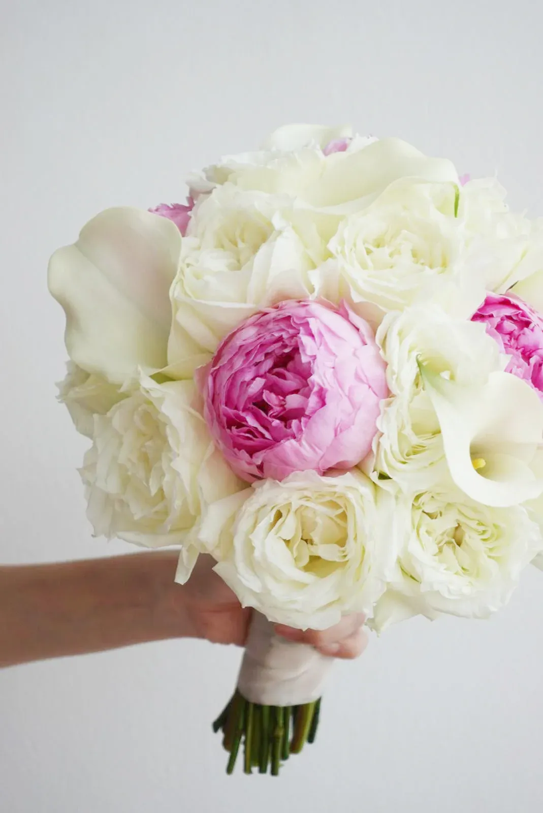 Lush & Lovely 1.webp