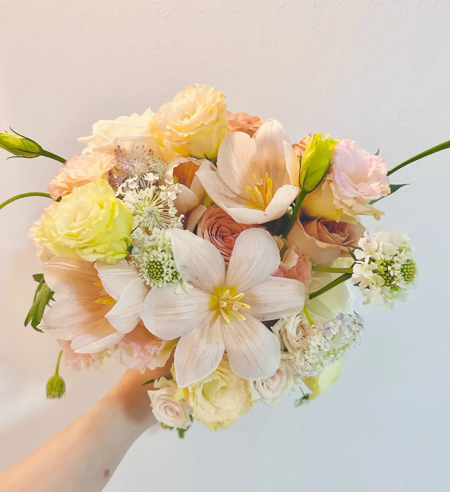 Vibrant & Joyful 4.webp