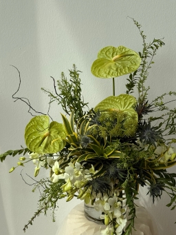 Designer Pick Omakase 3