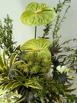 Designer Pick Omakase 5