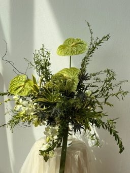 Designer Pick Omakase 2