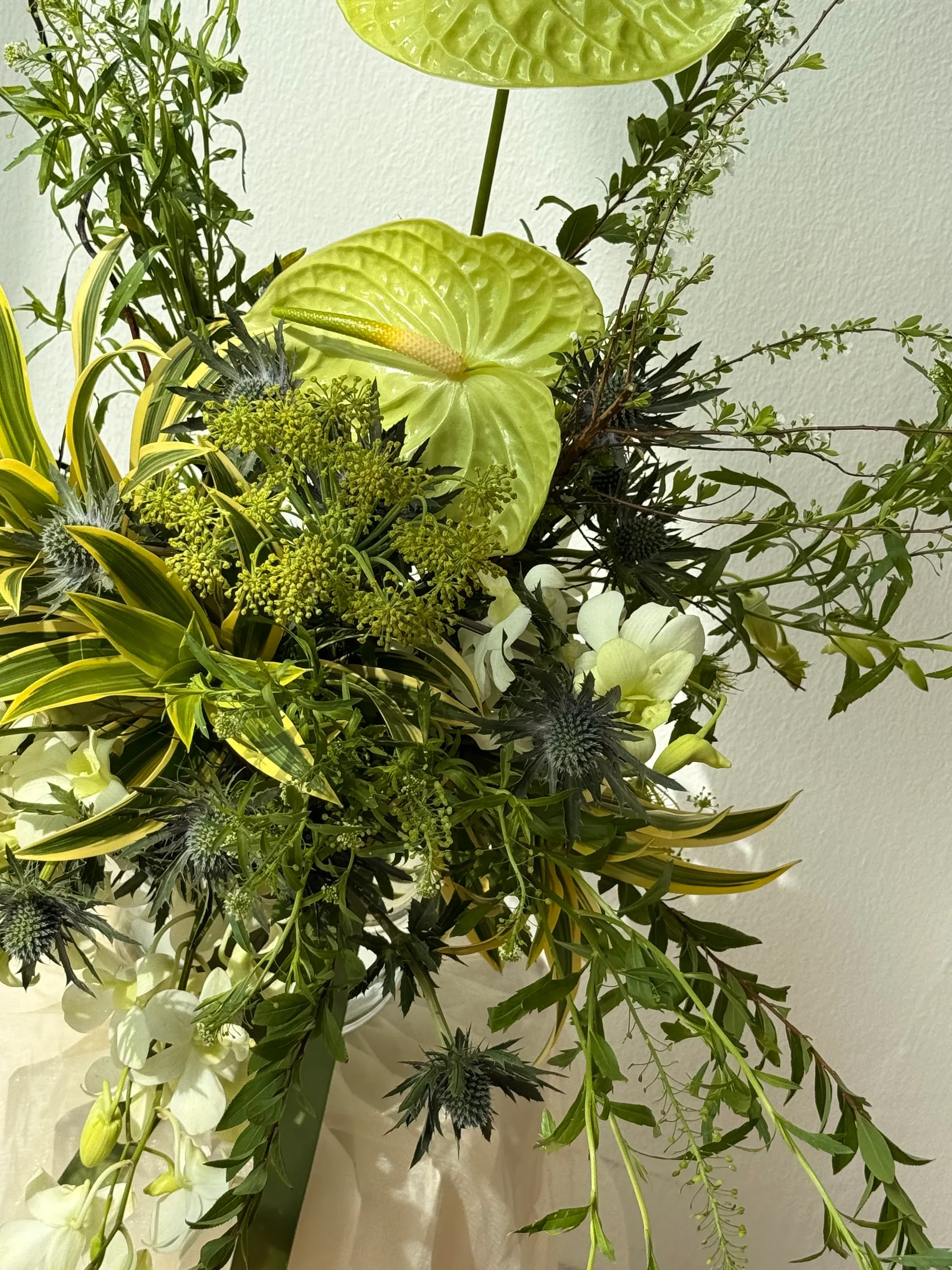 Designer Pick Omakase