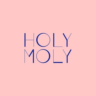 Holy Moly logo
